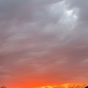 Meet your Posher, Dee